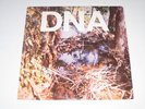 DNA - A Taste Of DNA - rare 1981 Noise-Punk / No Wave Mini-LP