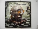 Gov't Mule Life Before Insanity original pressing rare green vinyl lp