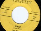 TEXAS FUZZ GARAGE 45 SPEEDS FELICITY 102 HURTIN/I'LL GO CRAZY don henley