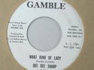 DEE DEE SHARP . Northern Soul  45 DEMO RARE . What Kind Of Lady  / Same.  EXC