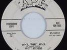 Doo Wop R&B 45 SCOTT STEVENS & CAVLIERS Why Why Why APT DJ HEAR