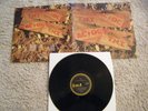 LP AC/DC T.N.T. VINYL (Albert Australia unique gatefold cover 1975) TNT