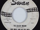 Rockabilly Instrumental 45 LINK WRAY & RAY MEN The Black Widow SWAN HEAR