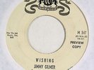 JIMMY GILMER “Wishing/True Love Ways” rockabilly 45 WARWICK wlp promo Holly HEAR