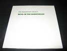 THE MOUNTAIN GOATS Devil In The Shortwave ETCHED 12