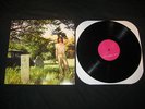 ARIEL PINK The Doldrums LP ORIGINAL 2004 Paw Tracks haunted graffiti oh sees