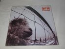 LP   PEARL JAM   VS   Made In Holland 1993   Album Record  Plastic Sleeve  MINT