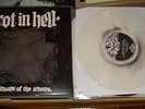 ROT IN HELL HARDCORE RARE PRORDER LP INTEGRITY RINGWORM CONVERGE NYHC COLOR SXE