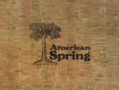 AMERICAN SPRING s/t LP 12 track stereo textured sleeve superb copy  (uas29363) u