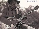 Jimmy Rogers - Blue Bird.  180 Gram 45rpm Sealed Vinyl 2LP Set.