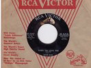45 RPM Dave Rich RCA VICTOR 7247 Burn On Love Fire   TEEN ROCKER