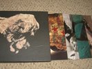 THE PIXIES    4x10