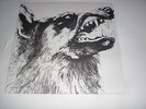 CRIPPLED BLACK PHOENIX  --  I , VIGILANTE  -  Vinyl