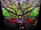 UNPLAYED MINT  AMON DUUL II   TANZ DER LEMMINGS  ACID PSYCH PROG Floyd Hawkwind