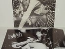 MUDHONEY-Superfuzz Bigmuff LP RARE first press with poster inner Green River