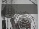 DEMDIKE STARE LTD RED LP ELEMENTAL PART 3 ROSE (Slant Azymuth, Andy Votel)