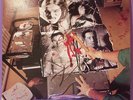 CARCASS Necroticism Orig UK LP - Napalm Death Arch Enemy Carnage Firebird Grind