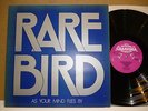 Rare Bird 