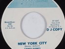 Northern Soul 45 SIDNEY BARNES New York City BLUES TONE HEAR
