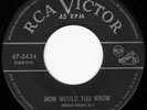 THE ROBINS How Would You RARE DOO WOP 45 on RCA 5434 VG++