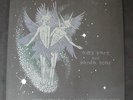 Avey Tare & Panda Bear 2xLP Animal Collective