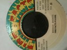 Fire Facts - Bridgie Bridgie -  Killer Digi Roots