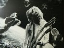 Led Zeppelin Bonzos Last Stand  lp