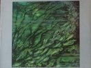 ERIC VANN WATER WORLD LP LIBRARY COLOURSOUND