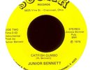 JUNIOR BENNETT Catfish Gumbo on Sugar Ohio Funk 45 Breaks Hear