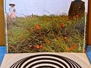 Ian Carr Belladonna UK VERTIGO SWIRL Orig '72