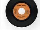 THE BEAU BRUMMELS JUST A LITTLE 45