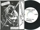 SYSTEEMI - Systeemissako vika 7