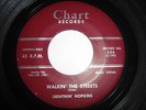Lightnin Hopkins - 
