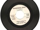 Hodges Brothers RARE ROCKABILLY searching my dreams for you / i dream of loving