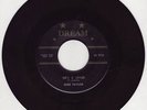 MIKE TAYLOR - HE'S A LOVER Rare 1966 Original (LISTEN)