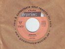 60'S Mod Popcorn 45*Barney Kessel*Summertime*Reprise*Listen
