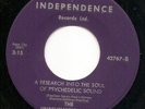The Unbelievable Uglies - Spider Man - Independence Snotty 67' Garage 45 NM Hear