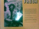 Modern Soul Boogie The Hilton Fyle Band - Fresh  LP  listen