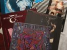 Siouxsie and The Banshees