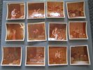 WISHBONE ASH unpublished PHOTO set TORQUAY early 1970's  PICTURES