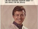 DION--RARE PICTURE SLEEVE--(I'M THE HOOCHIE KOOCHE MAN)--PS---PIC--SLV--PSL