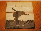 INTO THE WILD Vinyl +7