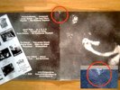 Lunar Aurora, Nocte Obducta, Nagelfar, Paysage d'Hiver WURZELGEISTER Vinyl