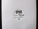 PHRASE - HERE NOW / TALK WITH FORCE 12