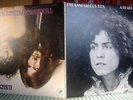 T Rex. Tyrannosaurus Rex. Toofa. Vinyl LPs. 'Unicorn' & 'A Beard Of Stars' Mint.
