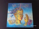 RARE NEURON for what we are LP PSYCH GARAGE PUNK HARD ROCK