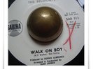 The Belmonts Walk On Boy R&B SOUL MOD HEAR 45