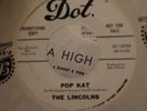 The Lincolns WLP 45 Pop Kat/We Got Some MINT 1966 GARAGE PUNK FRAT X-SCARCE RARE