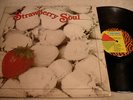 Billy Martin-STRAWBERRY SOUL-sophisto FUNKY instrumentals-SAMPLES-Canada press