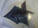 IN FLAMES BLACK ASH INHERITANCE RARE SWEDISH DEATH METAL SHAPE DISC NOTVD